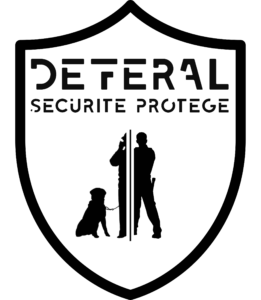 DSP deferal securite rotege Le pontet avignon